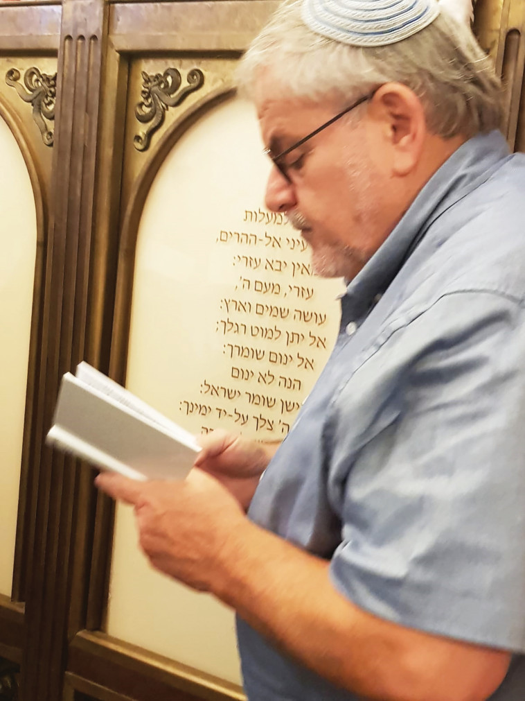 מנחם הורוביץ