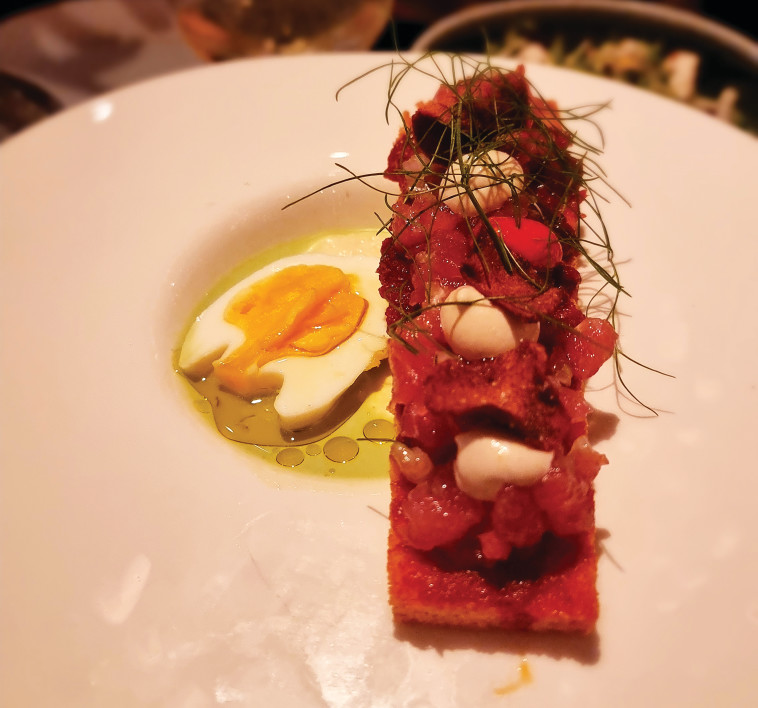 פופה - טרטר טונה