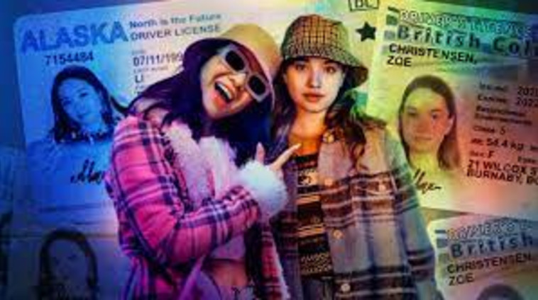 מזויפות, נטפליקס