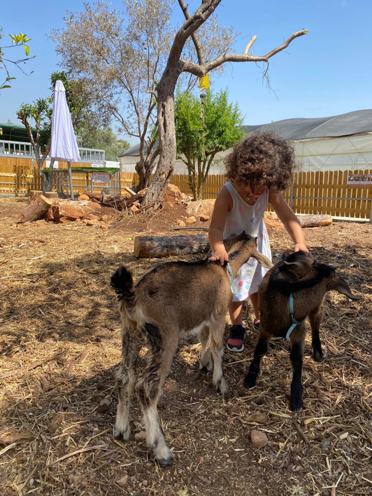 חוות הנדיב בזכרון יעקב