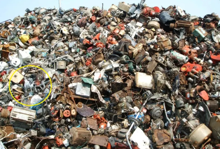 למקרה שלא הצלחתם למצוא את על החיים, הוא מוקף בעיגול