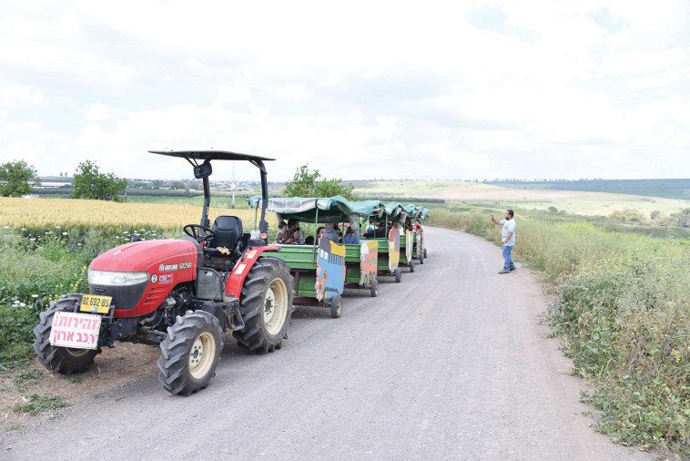 פארק דרך העץ רכבת התבור