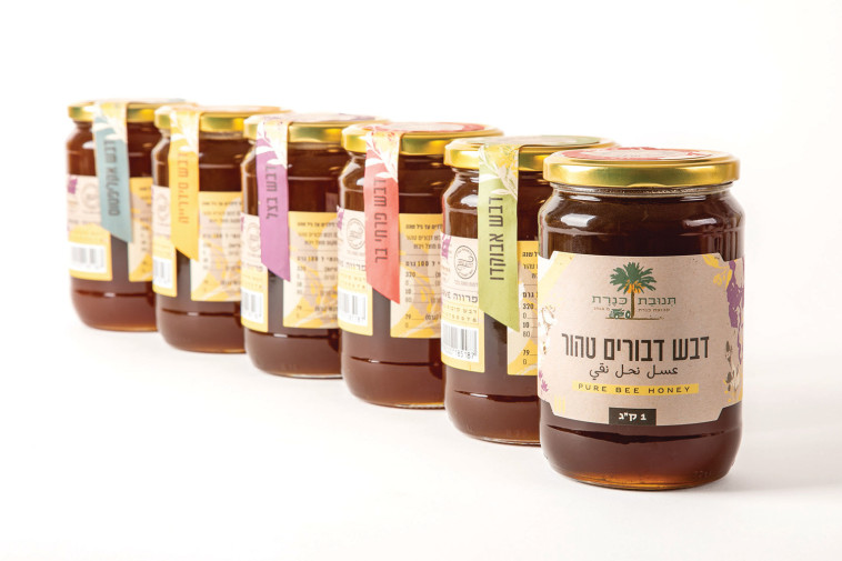 דבש בטעמים חדשים ומיוחדים מעמק הירדן והגולן ומקיבוץ כנרת