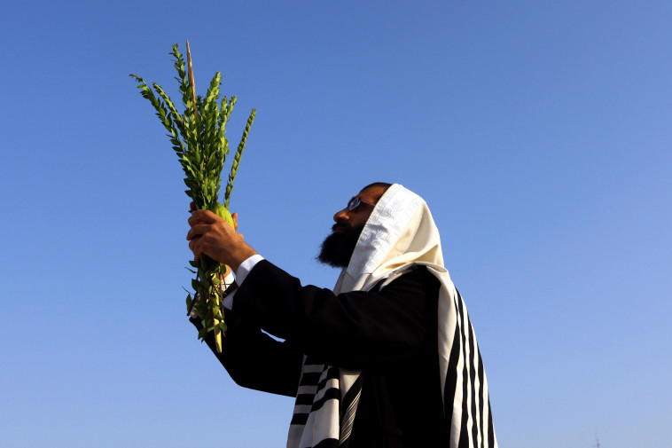 ארבעת המינים (צילום: אביר סולטן, פלאש 90)