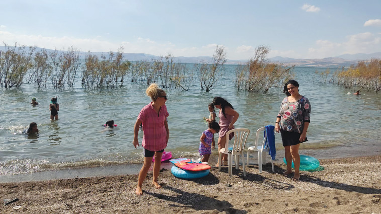 נופשים בכנרת