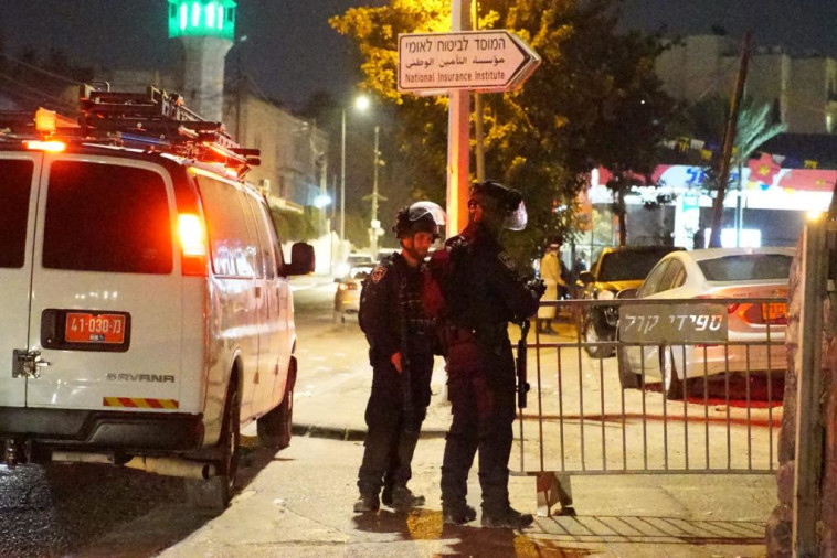 פעילות הכוחות