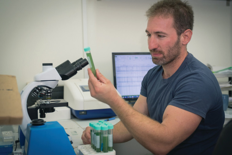 ליאור שאודר