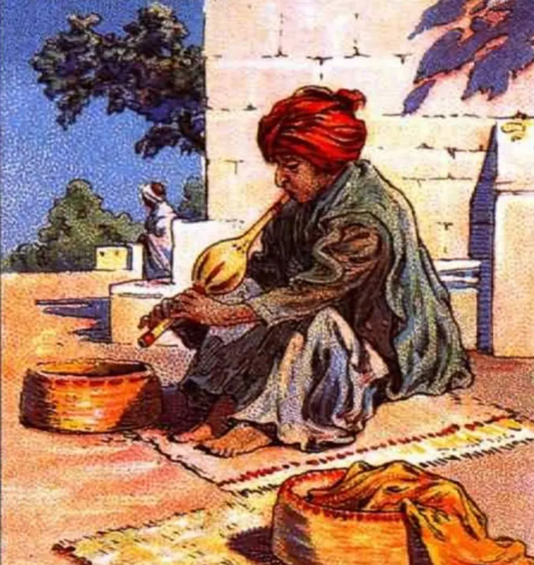 היכן מסתתר הנחש?