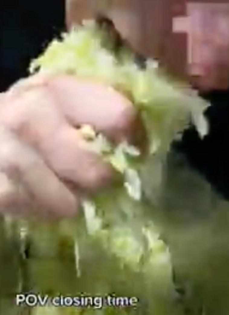 לא פסחו על החסה