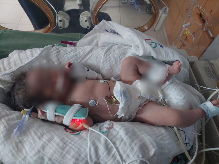 הפעוטה ממחדל ההפריה - סופיה