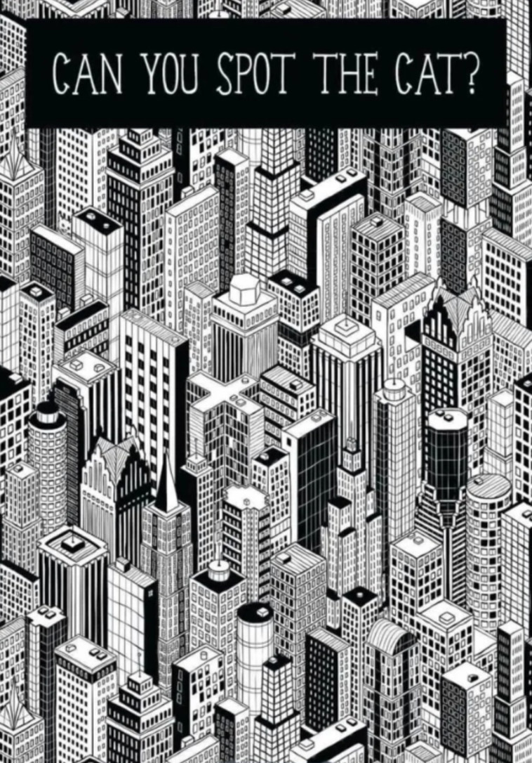 היכן החתול?