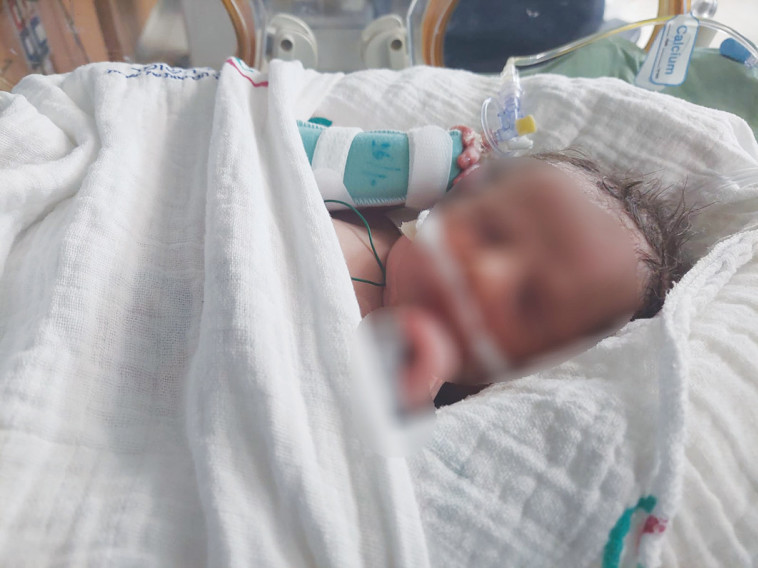 התינוקת סופיה