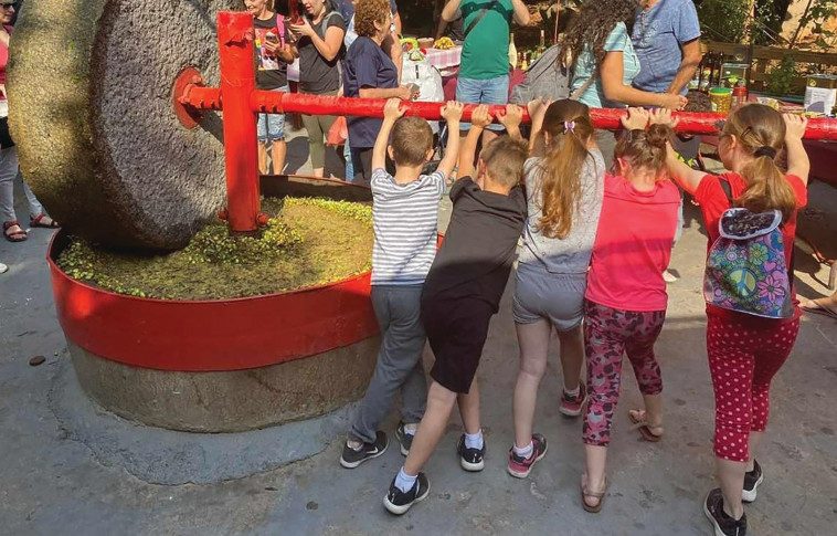 מרכז המבקרים של סבא חביב