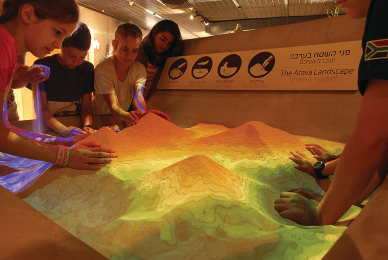 מרכז ויידור