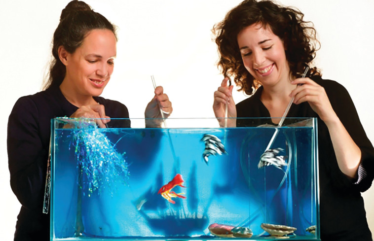 ציאטרון הקרון, ים קטן