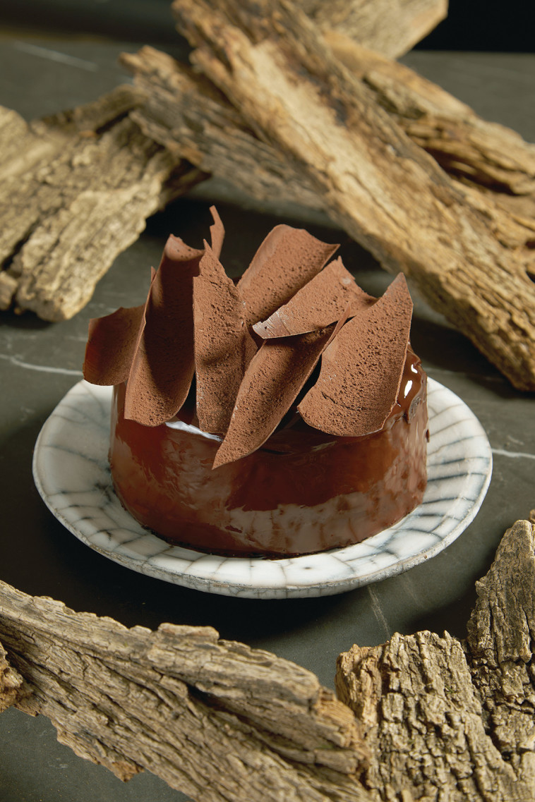 עוגת שוקולד טבעונית