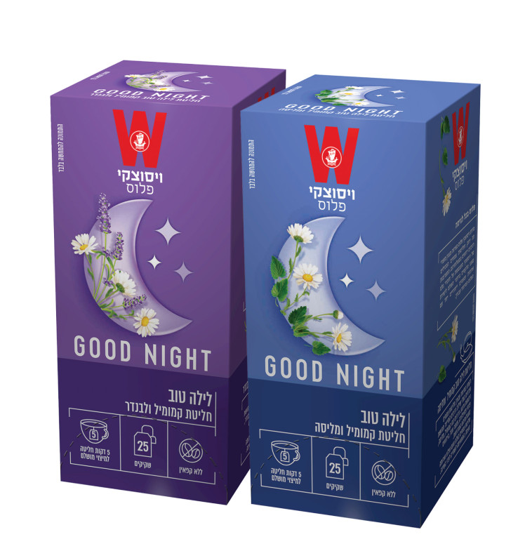 ויסוצקי, GOOD NIGHT