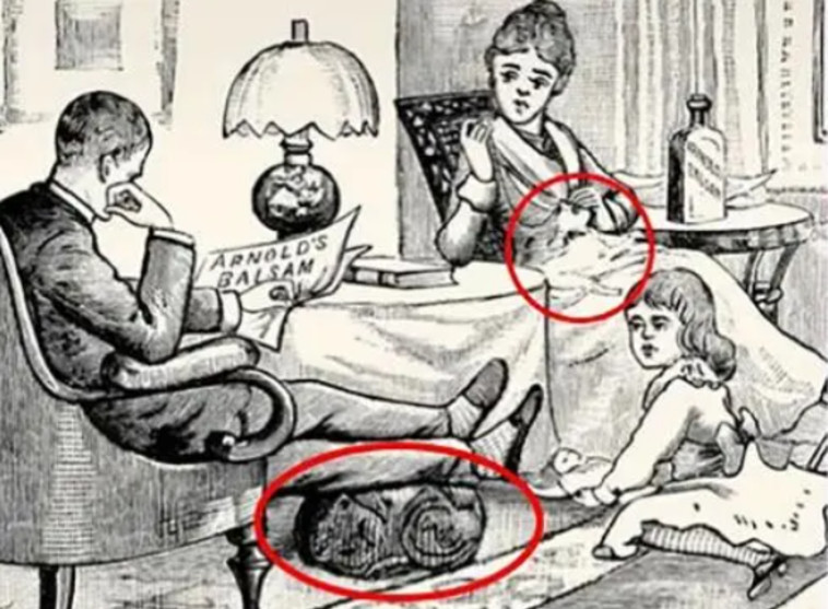 הראשון מתחבא מתחת לרגליו של האיש והחתול השני יושב על ברכיה של האישה (צילום: מתוך טיקטוק)