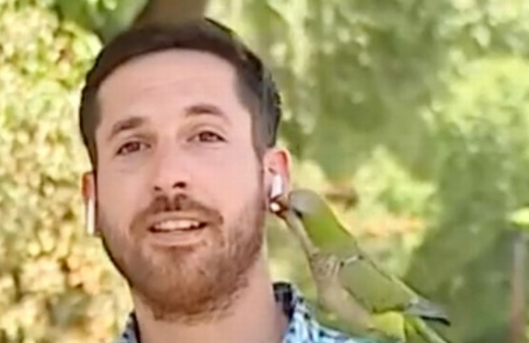 השודד נשאר חופשי