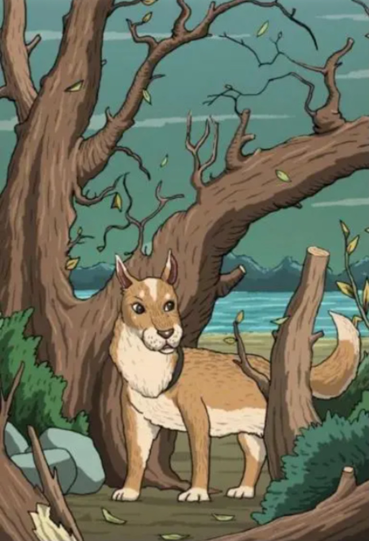 תנו מבט נוסף רגע לפני הפתרון