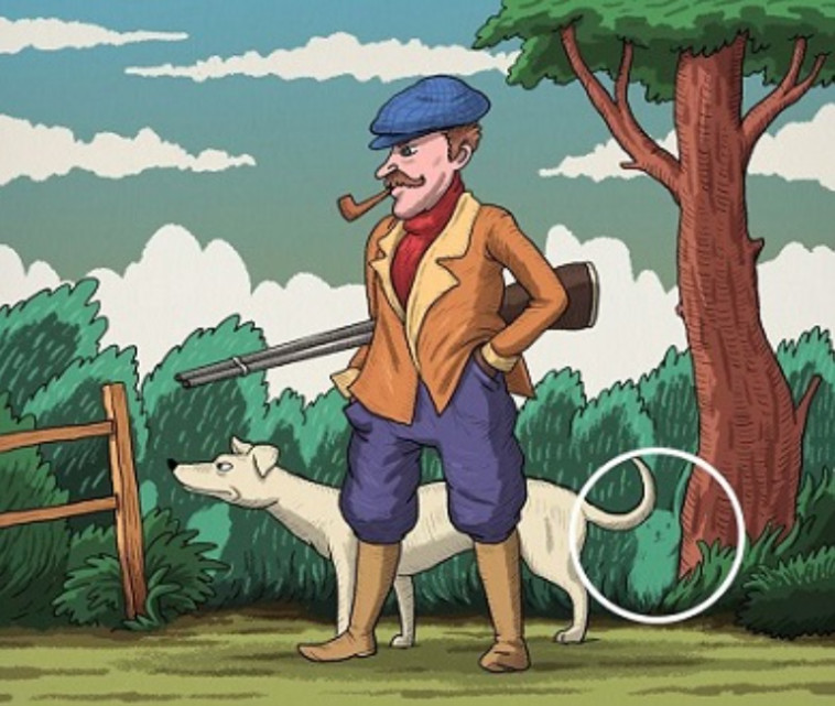 הארנב מתחבא בשיח שמתחת לעץ