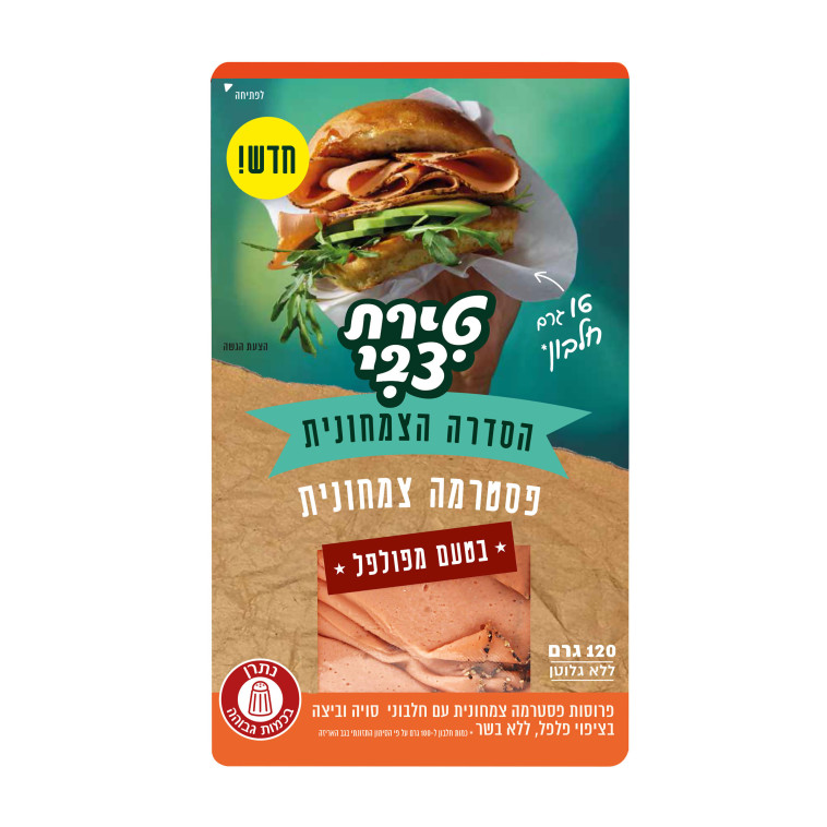 פסטרמה צמחונית (טירת צבי)