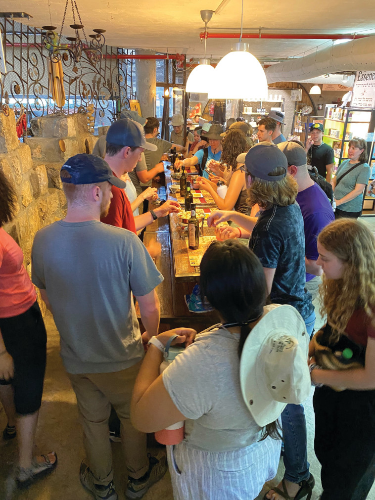 בית הבד של הגולן