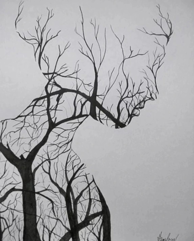 ענפי עצים על רקע שמיים אפורים או פרופיל של אישה?