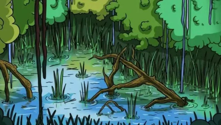 אשלייה אופטית 