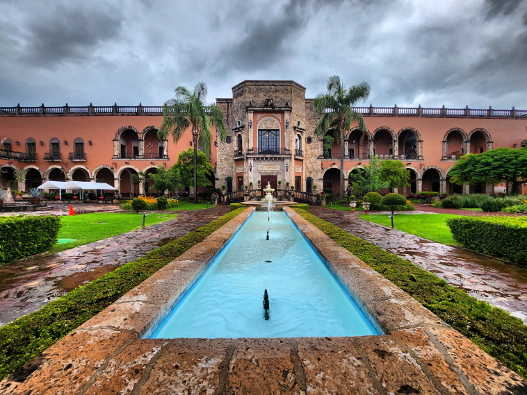 מזקקת טקילה פטרון