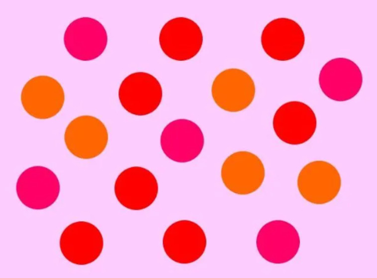 תמונה מספר 1