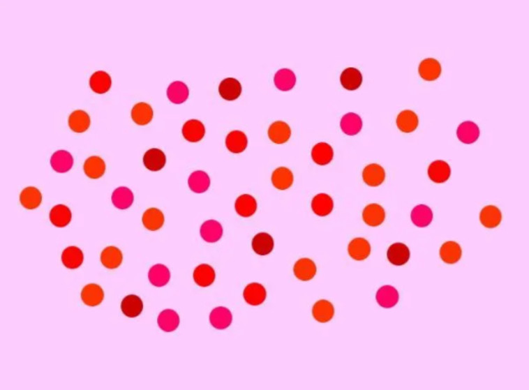 תמונה מספר 2