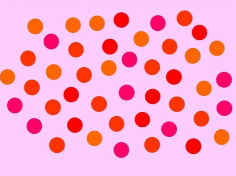 תמונה מספר 3