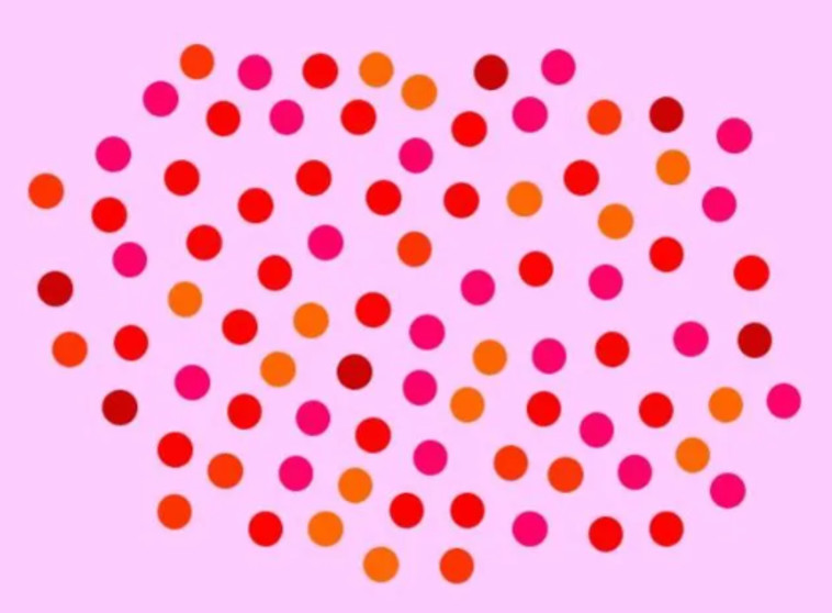 תמונה מספר 4