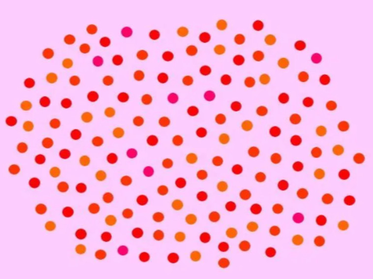 תמונה מספר 5