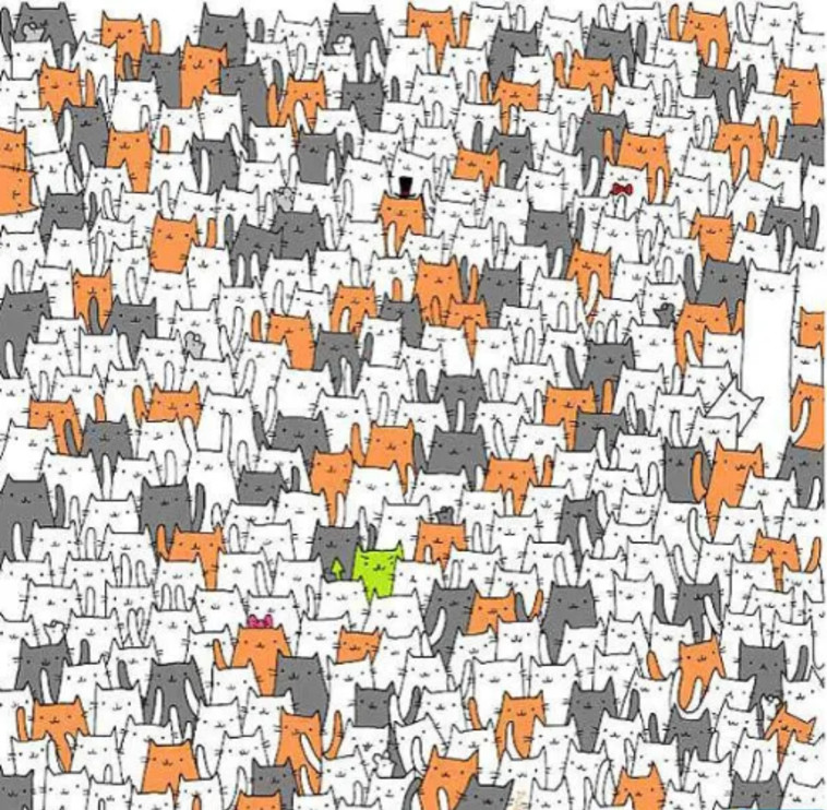 היכן מסתתר הארנב?