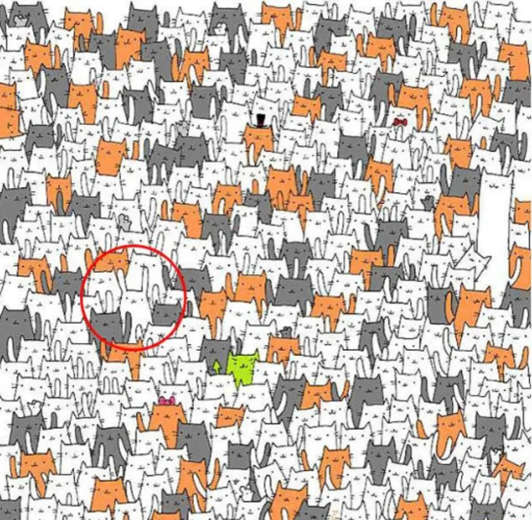 בצד השמאלי-אמצעי