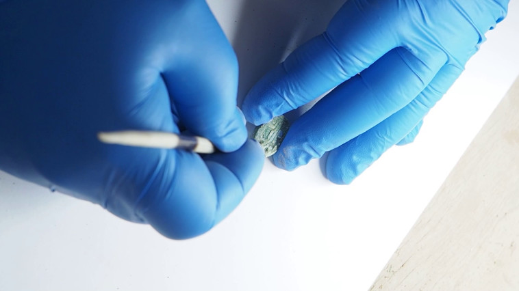 חותם מנוקה עי הרפא יוסף בוקנגולץ במעבדות רשות העתיקות