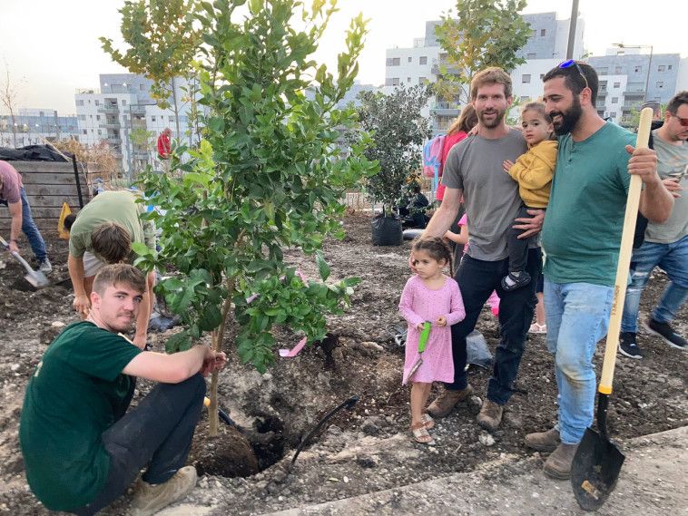 נטיעות בחריש