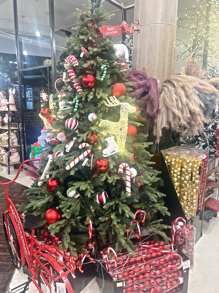 העיר מתחילה להתקשט