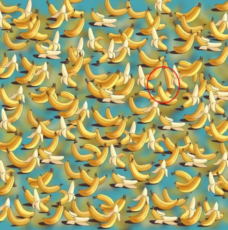 נראה ממש כמו הבננות