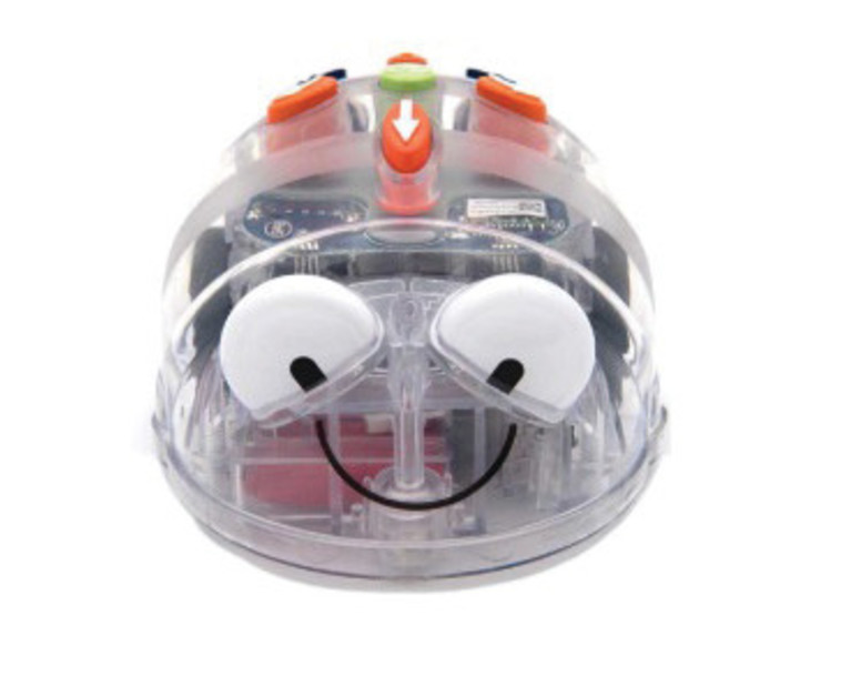 חיפושית קידוד