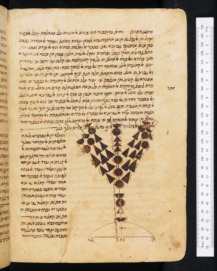 איור מנורת המקדש על פי הרמבם