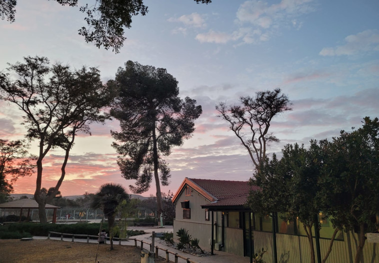 המכון למורשת בן-גוריון