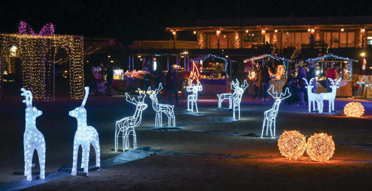 חגיגת חג המולד בפארק תמנע