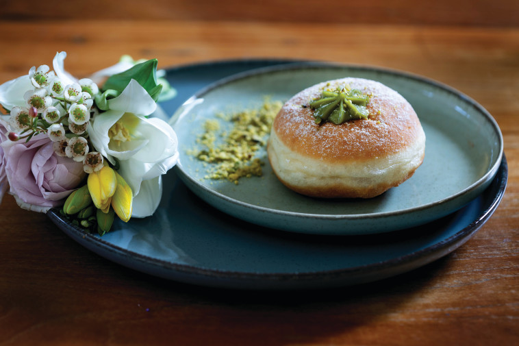  טאטי פיצוץ פיסטוק 16 שח