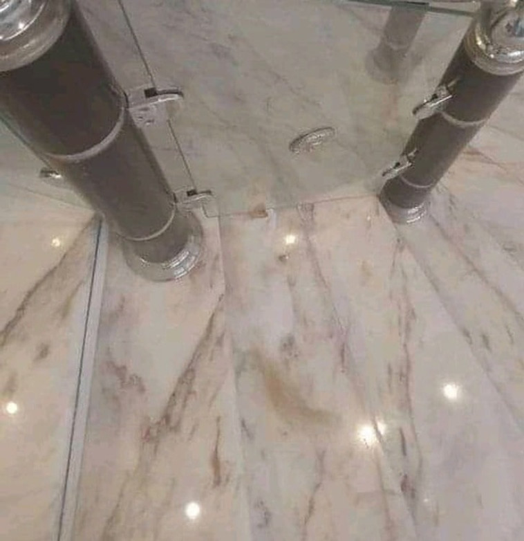 חפשו את החתול