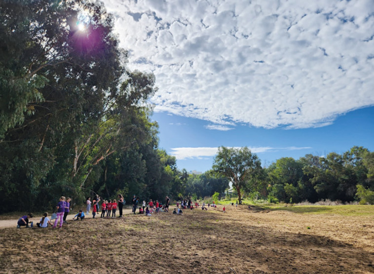 שתילת פרחים בתל אביב