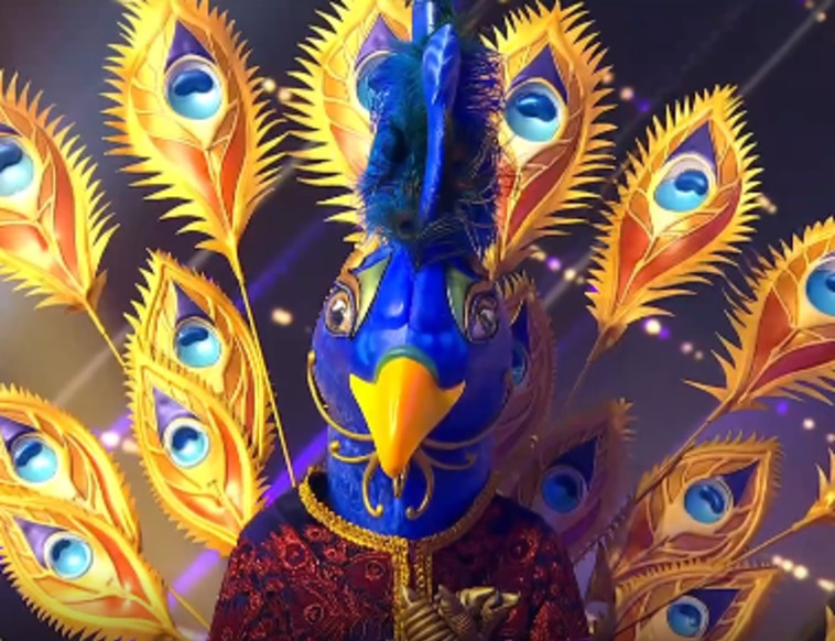 הטווס - הזמר במסכה