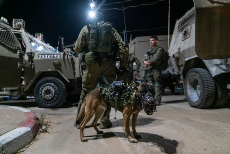 כוחות צה''ל במבצע ''שובר גלים'', ארכיון